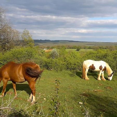 Maison De Bois En Pleine Nature A 20 Min De Beaune Montceau-et-Echarnant Zewnętrze zdjęcie