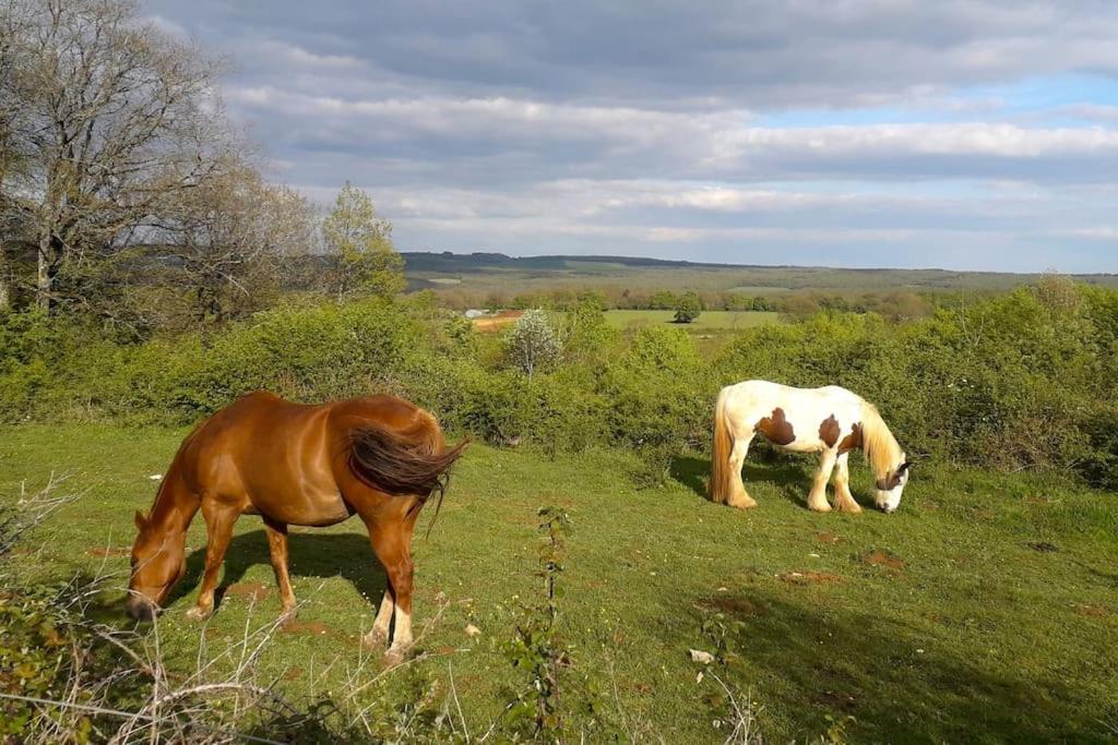 Maison De Bois En Pleine Nature A 20 Min De Beaune Montceau-et-Echarnant Zewnętrze zdjęcie