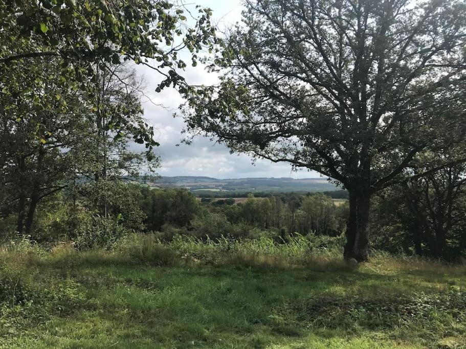 Maison De Bois En Pleine Nature A 20 Min De Beaune Montceau-et-Echarnant Zewnętrze zdjęcie