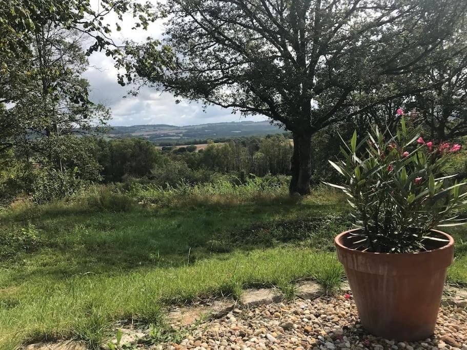 Maison De Bois En Pleine Nature A 20 Min De Beaune Montceau-et-Echarnant Zewnętrze zdjęcie